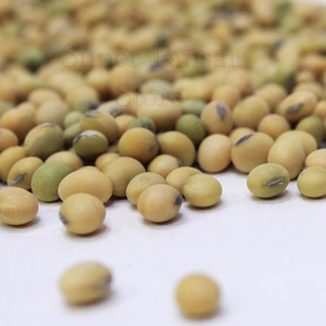 Soja entier naturel séché, soigneusement sélectionné pour une qualité propre, ingrédients pour l'alimentation animale et achat en gros - Product Image 5