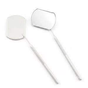 Wall Mounted Stainless Steel Powder Matte Finish <b>Magnifying</b> <b>Mirror</b> Set for Professional Lash Extension Examination Tool - Product Image 1