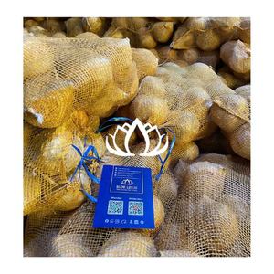 สินค้าพร้อมส่ง มะพร้าวสดแบบกึ่งปอกเปลือก สะอาด ปลอดภัย เกรดส่งออก สำหรับเตรียมอาหารและจัดแสดงขายปลีก จากแหล่งมะพร้าวคัดสรร - Product Image 1