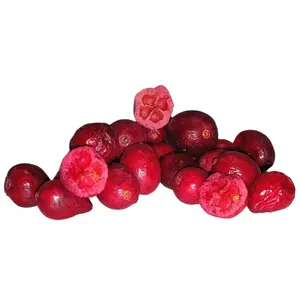 Chinese Factory Wholesale Organic Freeze-Dried Cranberry Fruit For Export