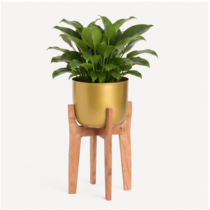 Support de Plantes Moderne en Bois avec Pot en Métal Doré de Luxe, Porte-Fleurs Décoratif Haut pour Intérieur, Salon et Bureau (Vente en Gros) - Product Image 5