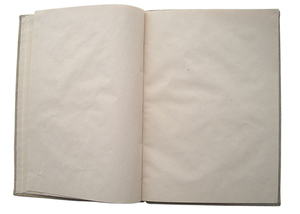 Agenda en papier de jute écologique avec couverture rigide, motifs imprimés de pétales de fleurs et d'herbe - Option cadeau - Product Image 3