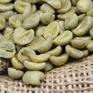 เมล็ดกาแฟโรบัสต้าเขียวพิเศษ ขนาด 16 ราคาขายส่ง คุณภาพมาตรฐานส่งออก ได้รับการรับรองออร์แกนิกจาก USDA - Product Image 2