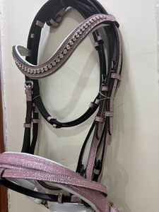 Brida de Cuero Inglesa de Excelente Calidad y Elegante Diseño para Exhibición y Uso en Concursos, Disponible a Precio de Exportación - Product Image 3