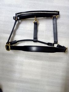 Fronture en cuir de haute qualité pour l'entraînement et l'équitation quotidienne des chevaux, disponible pour la vente en gros - Product Image 1