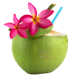 Cocos Frescos de Vietnam - Suministro Estable para Importadores y Mayoristas - Product Image 1