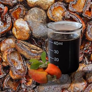 Aceite Crudo de Cáscara de Anacardo (CNSL) de Vietnam |   Aceite Natural de Cáscara de Anacardo Silvestre |   Flexibags de Grado Industrial al por Mayor | - Product Image 1