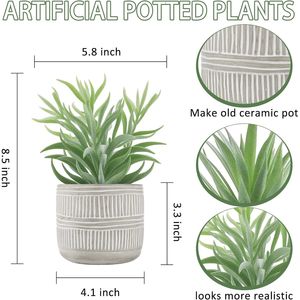 Set di 2 Piante Succulente Artificiali in Vaso Stile Boho per Casa, Stanza, Bagno, Camera da Letto o Ufficio - Product Image 4