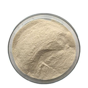Enzima Proteasa Alcalina de Grado Alimenticio Premium para Productos Lácteos, Suplementos de Proteínas y Formulaciones Nutricionales - Product Image 2