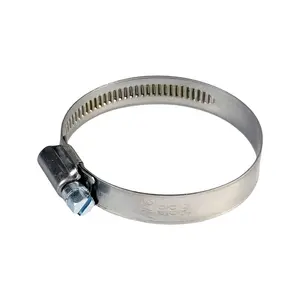 Best Ranking Products Perfect Design OEM Customized Metal Clamps Steel Hose Hose Clamp Metal Clamps For Tubes Stainless Steel