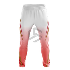 Tenue de cricket respirante 100 % polyester de haute qualité pour hommes et femmes, personnalisable avec logo de club, vêtements d'équipe Pakistan USA 2026 - Product Image 3