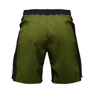 Fournisseurs de vêtements de sport tendance, shorts MMA de haute qualité, vente en gros de vêtements d'arts martiaux, shorts MMA personnalisés pour hommes en vente - Product Image 3