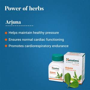 Tabletas de Arjuna de Hierbas Puras del Himalaya a Granel, Suplemento Natural para el Bienestar Cardiovascular, Exportador de la India - Product Image 2