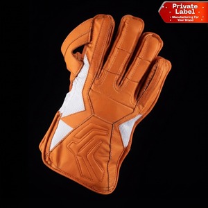 Fabricant OEM de gants de cricket professionnels avec logo personnalisé, approvisionnement en gros pour les distributeurs et les marques privées - Product Image 1