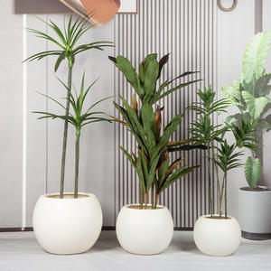 กระถางดอกไม้ทรงกลมพลาสติกสีขาว - น้ำหนักเบา ทนทาน เป็นมิตรกับสิ่งแวดล้อม เคลือบผง ดีไซน์เรียบง่าย ทันสมัย ใช้ได้ทั้งภายนอก/ภายใน - Product Image 1