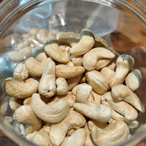 Nueces de Anacardo Frescas de Vietnam, Grados WW W180 W240 W320 W450, Alta Calidad, USDA / UE, Orgánicas, Procesadas, Peladas, Envasadas al Vacío, Halal - Product Image 2