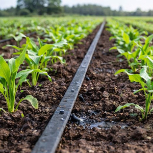 16mm <strong>Drip</strong> <strong>Irrigation</strong> Line 2000m Length For Agricultural Farm Vegetable Field And Cash Crop - Product Image 2