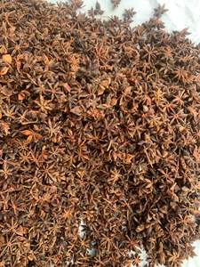 Anís Estrellado de Vietnam, Cosecha de Otoño, Nueva Temporada, Grado Premium, Seco, Mezclado, Certificado HACCP, Sabor Intenso, Precio al por Mayor - Product Image 4