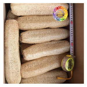Factory Direct All Natural 99 GOLD DATA Dried Loofah Sponge for Bath Accessories Body Care Kitchen Cleaning - Product Image 4