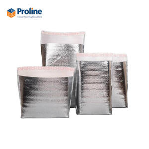 Bolsa Térmica para Entrega de Alimentos, Impermeable, Ecológica, Desechable, con Cierre de Cremallera, Material PE - Product Image 4