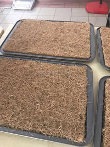 Almohadillas de Fibra de Coco para Cultivo, Origen Sri Lanka, Ideales para Germinación de Semillas, Semilleros, Microgreens, Invernaderos y Horticultura - Product Image 2