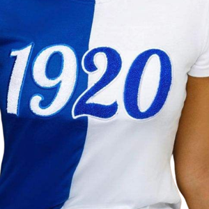 เสื้อยืดแขนสั้นผ้าฝ้ายสีน้ำเงินทรงปกติ คอกลม สำหรับผู้หญิง Zeta Phi Beta Chenille 1920 รุ่นลำลอง 1920 - Product Image 2
