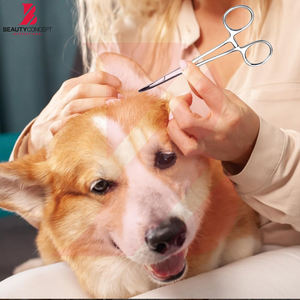 Pinzas Hemostáticas Reutilizables Curvas, Pinza Quirúrgica de Nueva Llegada con Logotipo Personalizado, Instrumentos Quirúrgicos, Pinzas Kelly - Product Image 3