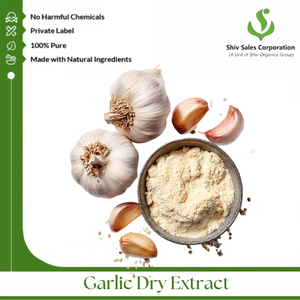 Poudre d'extrait d'ail de haute qualité pour la production d'assaisonnements, les formulations alimentaires et les applications culinaires industrielles dans le monde entier - Product Image 3