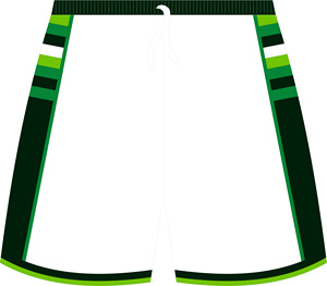Shorts en maille polyester vierges pour sublimation, shorts de sport, shorts de fitness, shorts de basketball, vêtements de sport, vêtements de jogging pour hommes - Product Image 5