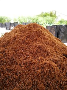 Venta al por mayor Coco Coir Turba Ladrillos Biodegradable Ecológico Cultivo sostenible Medio Listo Uso Alta Retención de Agua Barco - Product Image 6