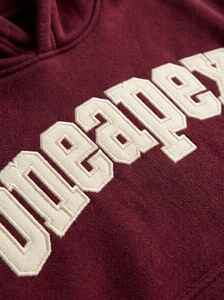 Conjunto de Sudadera con Capucha y Pantalones Deportivos Extra Grandes Color Granate para Hombre, Ropa Deportiva Urbana, Logotipo Bordado Personalizado, Algodón Grueso, Dos Piezas - Product Image 6