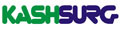 KASHMIR SURGICAL WORKS logo