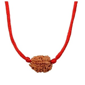 Escultura Tradicional de Rudraksha Pulida Natural del Uttar Pradesh, Mukhi Mukhi Mukhi Mukhi Mukhi, Rudraksha del Himalaya para Meditación - Product Image 1