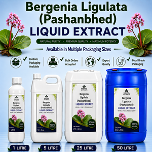 Extrait Liquide de Bergenia Ligulata Pashanbhed, Complément Herbal Naturel Pur, Fourniture en Vrac, Emballage Personnalisé - Product Image 1