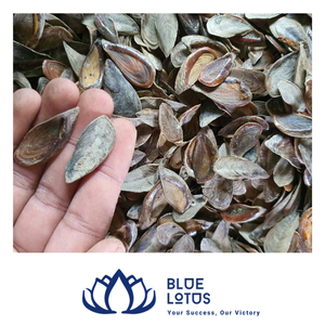 [BEST SELLING] | Murex Operculum <b>Shell</b> Raw Material for Perfume Making Fragrance Incense Extraction Supply Vietnam - Product Image 1