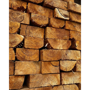 Troncos de Madera de Eucalipto para Producción a Gran Escala, Fabricación de Muebles y Uso Industrial, Suministro de Vietnam - Product Image 2