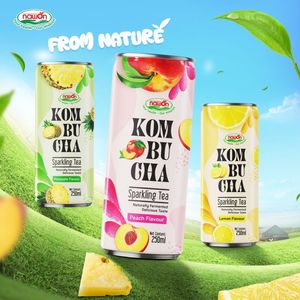 น้ำชาคอมบูชาสปาร์คกลิ้ง ตราเนาวอน ขนาด 250 มล. บรรจุกระป๋อง เครื่องดื่มคอมบูชาธรรมชาติ รสเลมอน เครื่องดื่มเพื่อสุขภาพ โรงงานรับผลิตแบบ OEM/ODM - Product Image 2