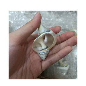 แหวนรองผ้าเช็ดปากเปลือกหอยขายส่ง แหวนรองผ้าเช็ดปากเปลือกหอยทนทาน ทำจากเปลือกหอยธรรมชาติสำหรับตกแต่งโต๊ะอาหาร - Product Image 2