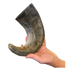 Friandise à mâcher pour chiens et chats en corne de buffle 100% naturelle d'Inde, longue durée, sans céréales, séchée, crue, pour le nettoyage des dents - Product Image 1