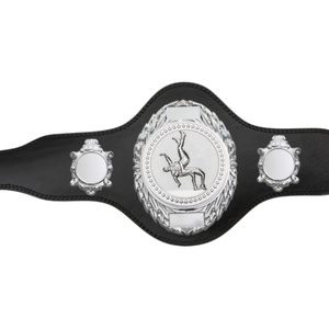 เข็มขัดแชมป์เปล่าแบบปรับแต่งได้ คุณภาพสูง เข็มขัดแชมป์มวยปล้ำ รุ่นสะสม เข็มขัดกีฬา - Product Image 5