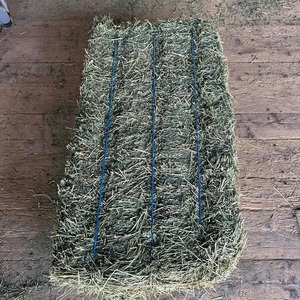 Foin d'alfalfa séché pour les fermes laitières et d'élevage, fourrage nutritif, bonne texture, arôme naturel, pour l'alimentation et l'usage agricole - Product Image 1