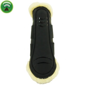 Caballo botas para tendón - Product Image 1