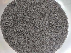 Semillas de Psoralea Corylifolia, Extracto de Semillas de Babchi Natural en Polvo de la India, Precio de Mercado al por Mayor - Product Image 4