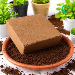 Bloc de cocofibre 5 kg sous marque privée, palettisé, filmé sous film rétractable, exportations, emballage personnalisé imprimé, faible CE, fournisseur de tourbe de coco tamponnée - Product Image 4