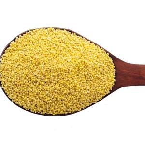 Millet jaune pur en vrac : frais et nutritif pour l'alimentation saine et l'approvisionnement de l'industrie alimentaire - Product Image 6