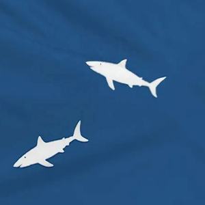 Léger et flexible nouveau Design imprimé Polyester coton séchage rapide Shorts de plage été nager hommes court disponible à bas prix - Product Image 4