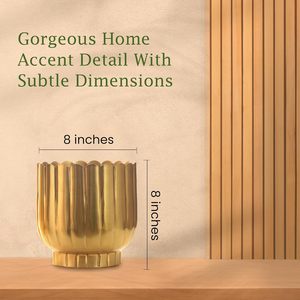 กระถางต้นไม้ทองเหลืองตกแต่งสไตล์โมเดิร์นสำหรับตกแต่งภายในและภายนอกอาคารจากผู้ผลิตในอินเดียสำหรับการส่งออกจำนวนมาก - Product Image 4