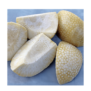 Cubos de Fruta de Pan Tropicales Congelados IQF Premium, Proveedor de Vietnam, Suministro a Granel - Product Image 5