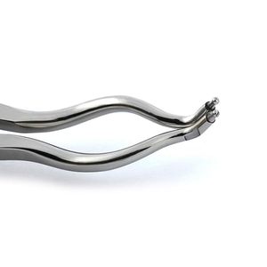 Forceps de Dam Brewer en caoutchouc de haute qualité 17,5 cm |   Pince à caoutchouc dentaire en acier inoxydable |   Instruments chirurgicaux dentaires - Product Image 4