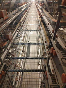 Sistema de Jaulas Tipo H <span class=keywords><strong>para</strong></span> Automatización Avícola Personalizable, Alimentación de <span class=keywords><strong>Gallinas</strong></span> Ponedoras, con Buen <span class=keywords><strong>Precio</strong></span> - Product Image 6